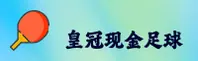 使用指南与常见问题